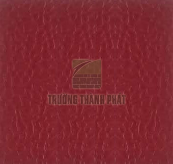 Sàn thể thao TTP-4561